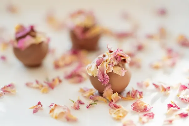 JokerBet Casino Aplicație Android/iOS